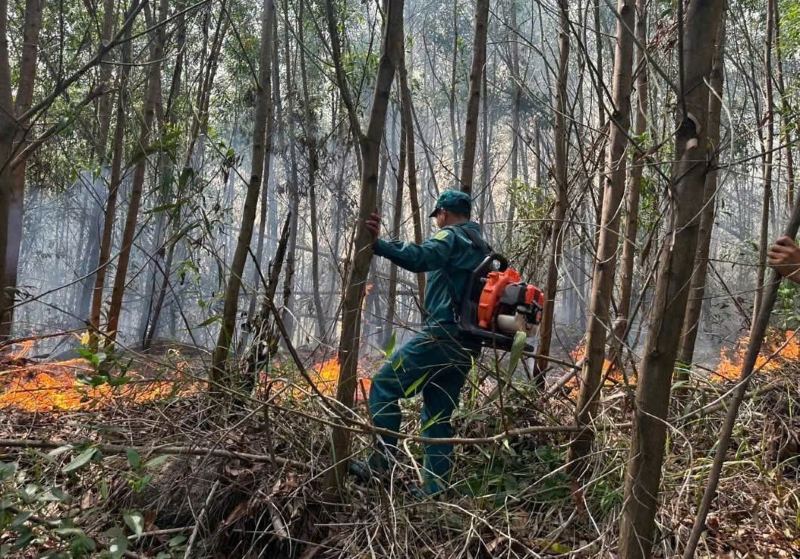다낭에서 7월 19일 저녁 격렬한 화재가 발생하여 Duy Xuyen 코뮌에 속한 2헥타르 이상의 생산림이 불에 탔습니다. 사진: Truong An