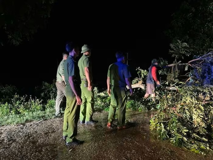 7月19日夜、Nghe An省で大雨と強風が発生し、多くの木が倒壊し、そのうち1本の木の枝が倒壊し、死亡した男性に当たった。写真:Ngoc Anh.