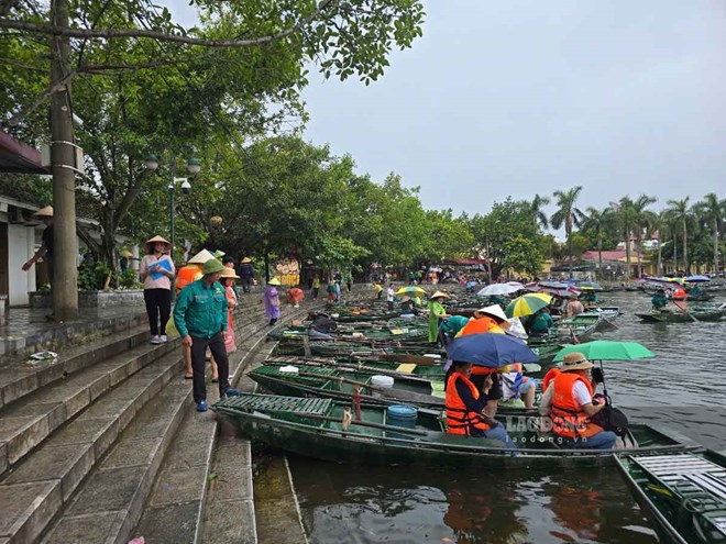 Hoat dong tham quan bang thuyen tai khu du lich Tam Coc - Bich Dong, Ninh Binh sang 20.7. Anh: Dieu Anh