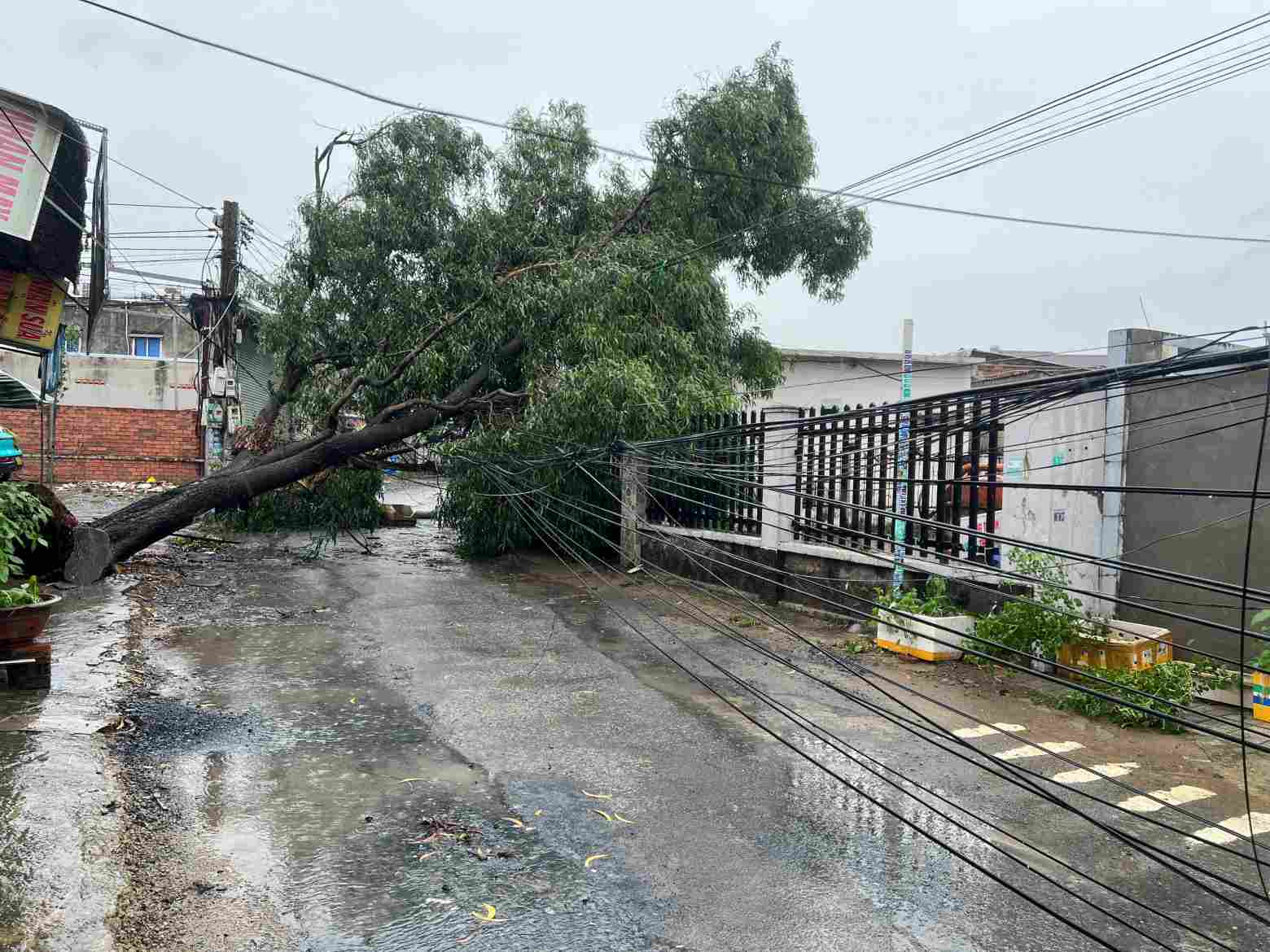 Hau qua cua mua gio dang duoc khac phuc. Anh: Dinh Trong