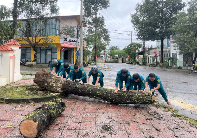 大雨と風がラムドンに木をノックしました。写真：ラムホン