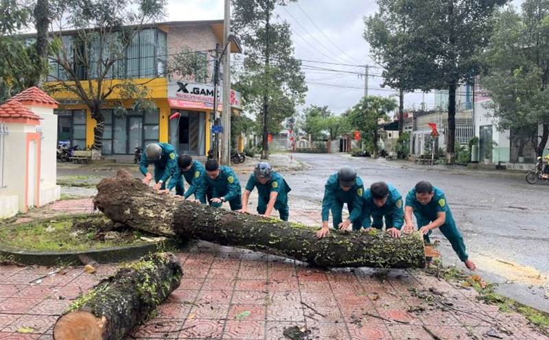 Heavy rain and strong winds knocked down trees in Lam Dong. Photo: Lam Hong