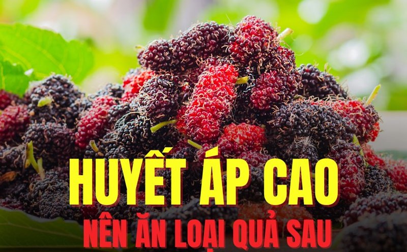 People with high blood pressure can consider adding mulberries to their diet appropriately. Graphics: Tra My