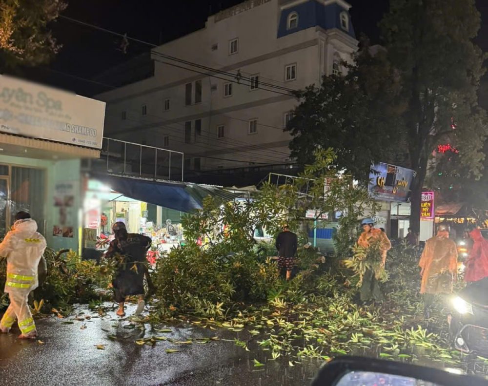 The functional forces of Phu Quoc Special Zone handled fallen trees on the road for people and vehicles to circulate. Photo: Provided by readers