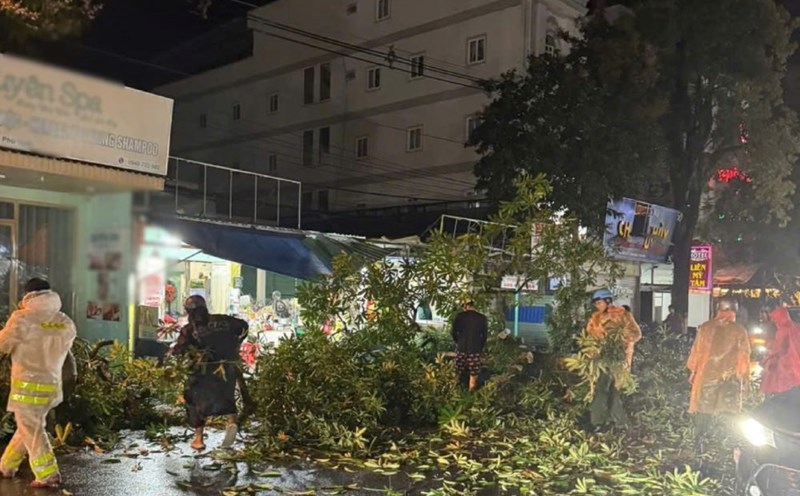 The functional forces of Phu Quoc Special Zone handled fallen trees on the road for people and vehicles to circulate. Photo: Provided by readers