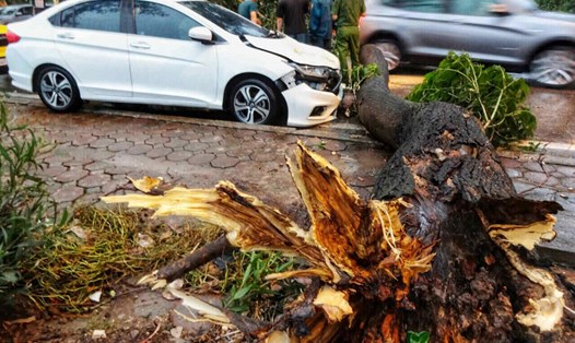 Dự báo thời tiết Hà Nội 3 ngày tới mưa rất to do ảnh hưởng của bão số 3 Wipha. Ảnh: Tô Thế