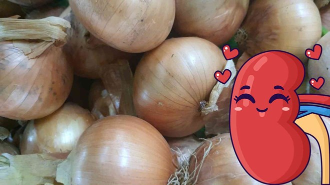 Lí do hành tây có tác dụng bảo vệ thận