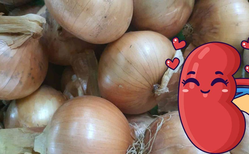 Onions are good for the kidneys. Photo: Ha May