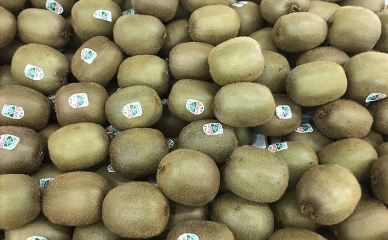 Eating kiwi helps improve sleep quality. Photo: Thanh Thanh