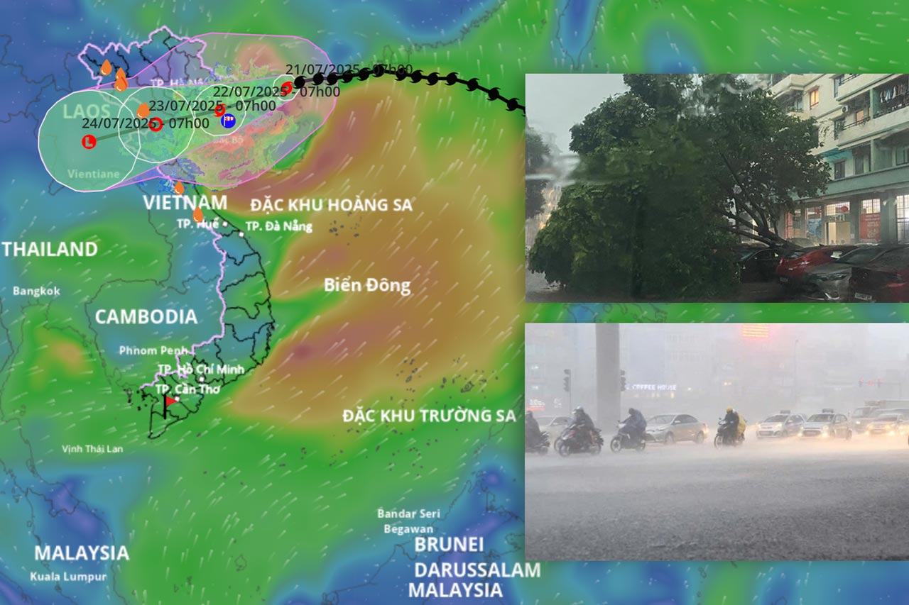 Forecast of the area of storm No. 3 Wipha making landfall in the next 48 hours