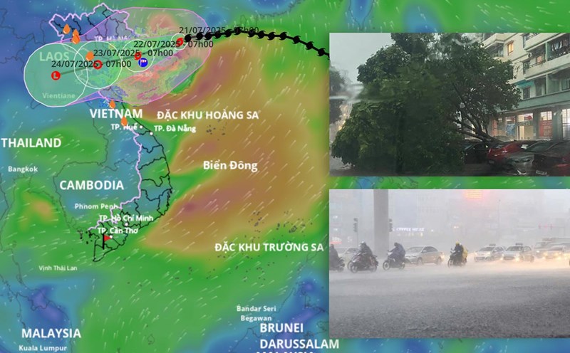 Forecast of the area of storm No. 3 Wipha making landfall in the next 48 hours