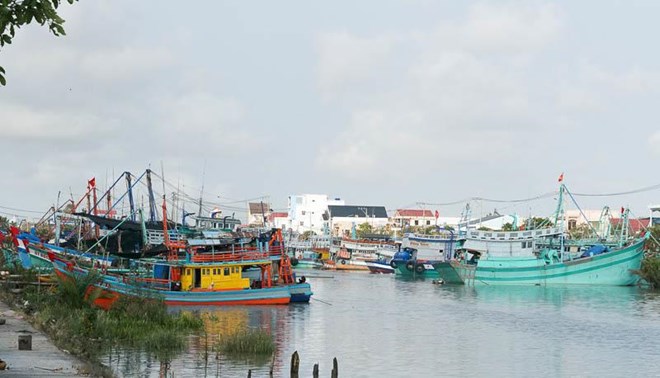 TP Can Tho co 72km bo bien voi khoang 800 tau khai thac, danh bat thuy hai san. Anh: Phuong Anh