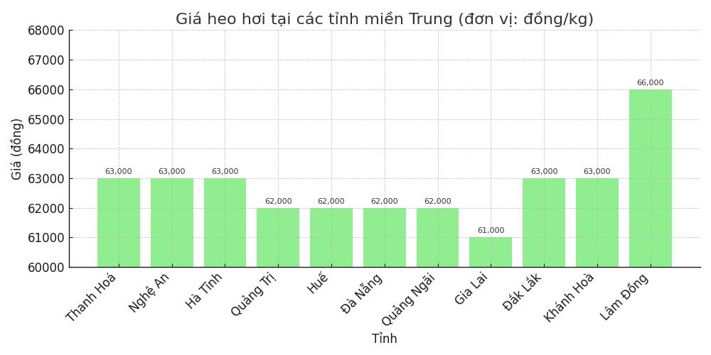 Gia heo hoi ngay 21.7 tai khu vuc mien Trung. Do hoa: Thuy Linh