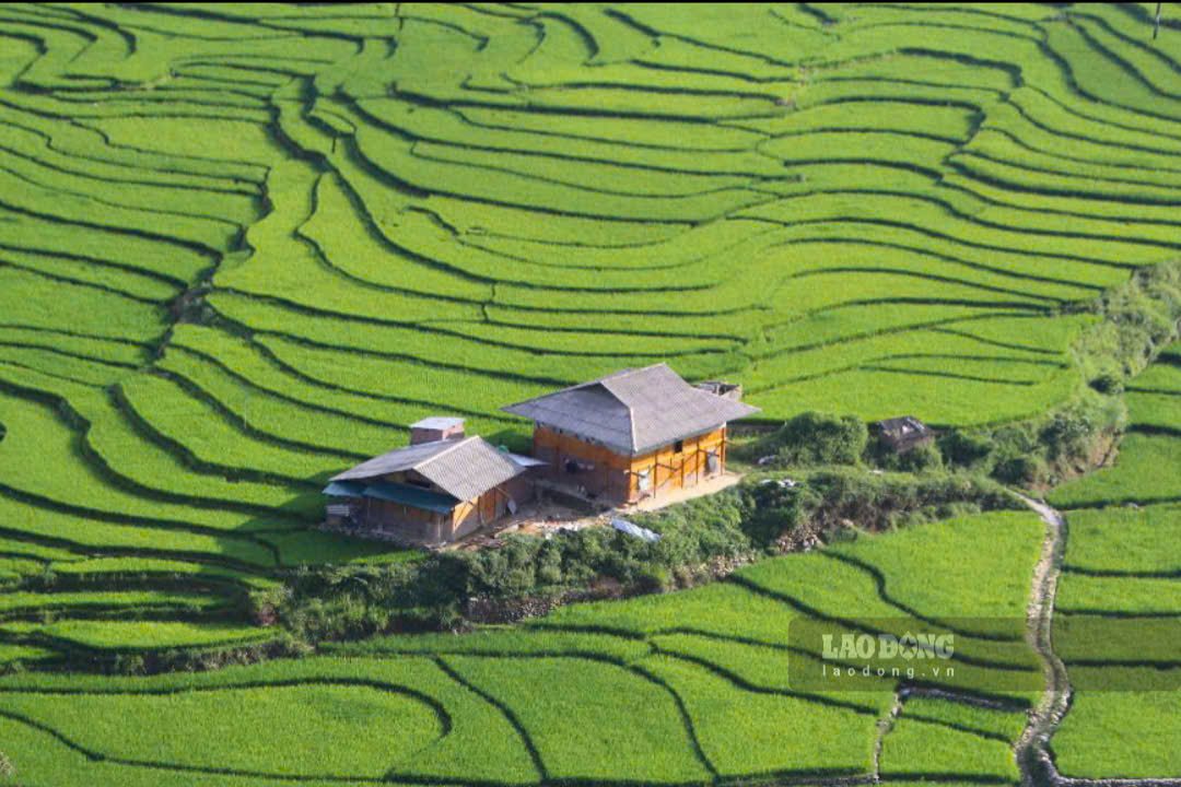 Sa Pa in the green days. Photo: Le Tuyen