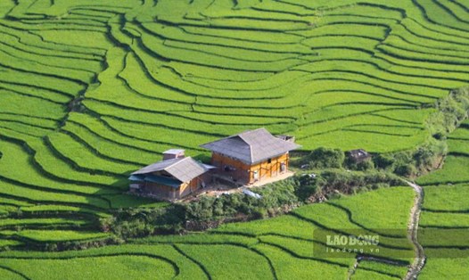 Sa Pa những ngày xanh mướt. Ảnh: Lê Tuyến
