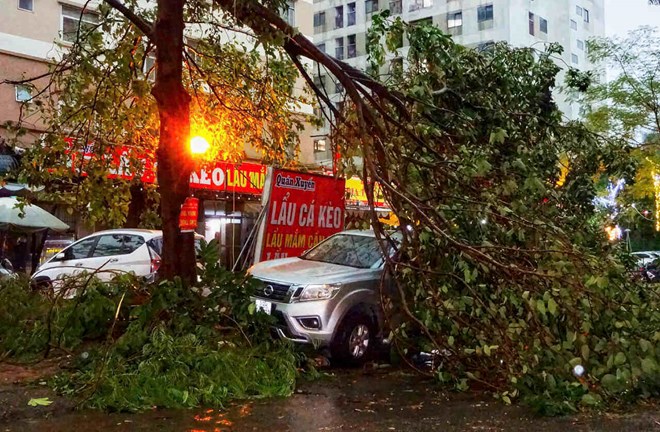 Due to the impact of storm No. 3, heavy rain and strong winds swept away trees in Hanoi, cars were crushed in the middle of the street. Photo: To The