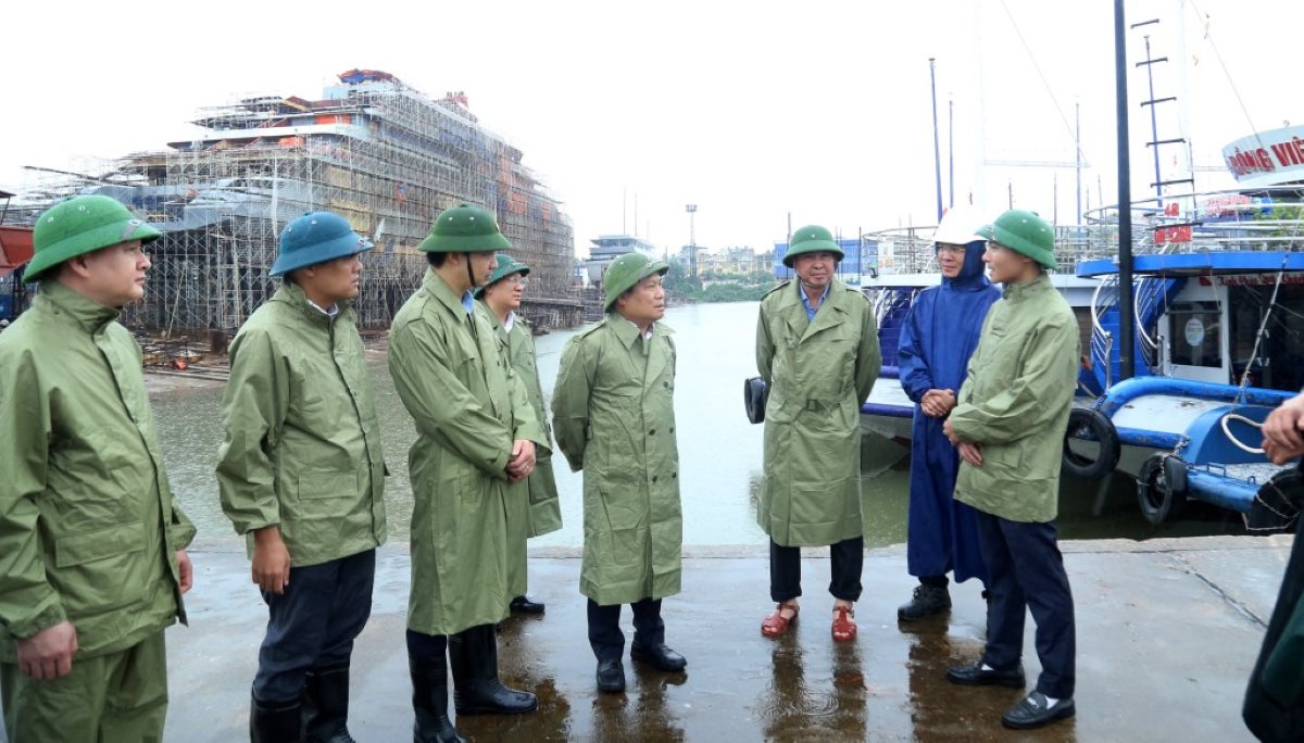 Ong Vu Dai Thang - Bi thu Tinh uy Quang Ninh - kiem tra cong tac bao dam an toan cho tau thuyen tai khu neo dau tranh tru bao tai khu Gieng Day 3A, phuong Viet Hung ngay 21.7. Anh: Thu Chung