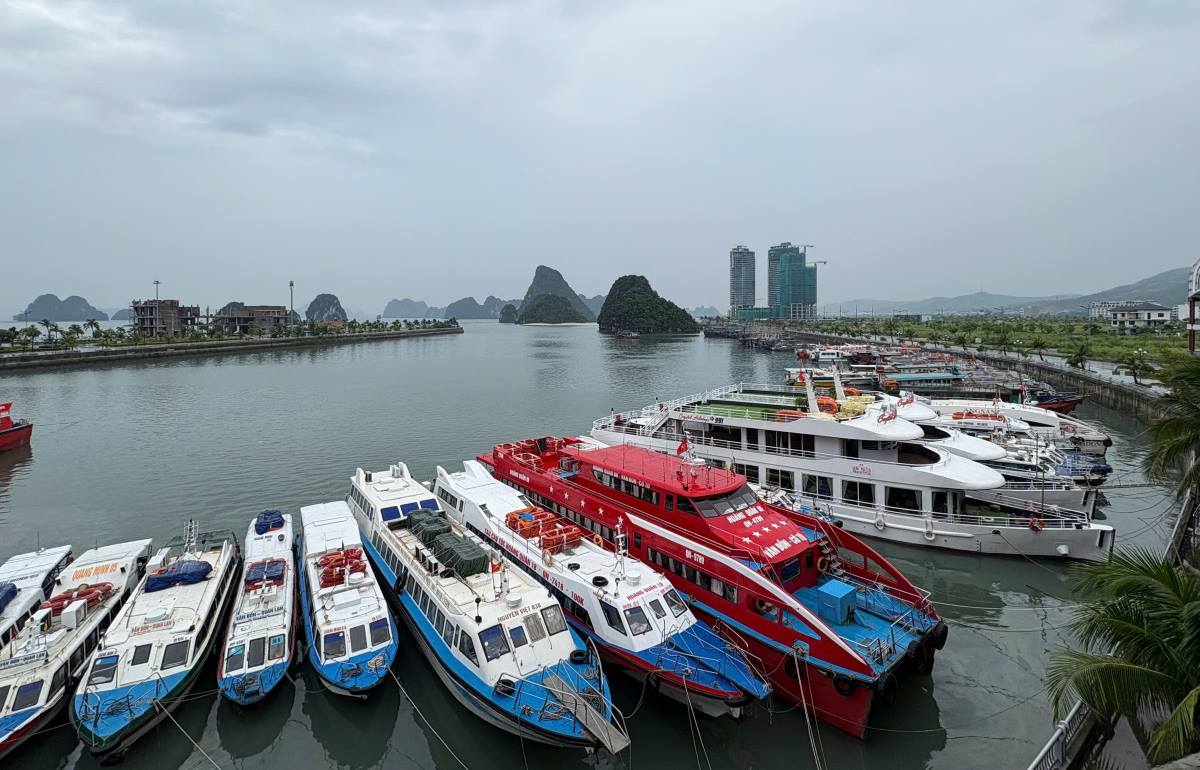 Tau ve Cang Ao Tien, Dac khu Van Don tranh bao so 3. Anh: Nguyen Hung