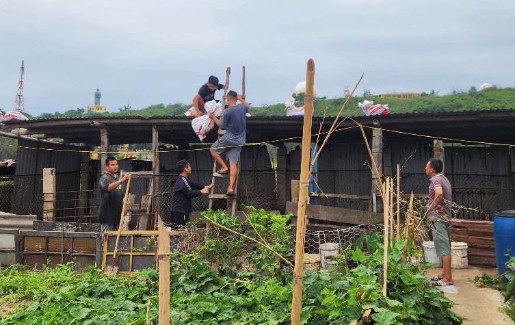 Nguoi dan Dac khu Bach Long Vi cung gia co nha cua, chuong trai truoc khi bao Wipha do bo. Ảnh: Tuyen giao Bach Long Vi