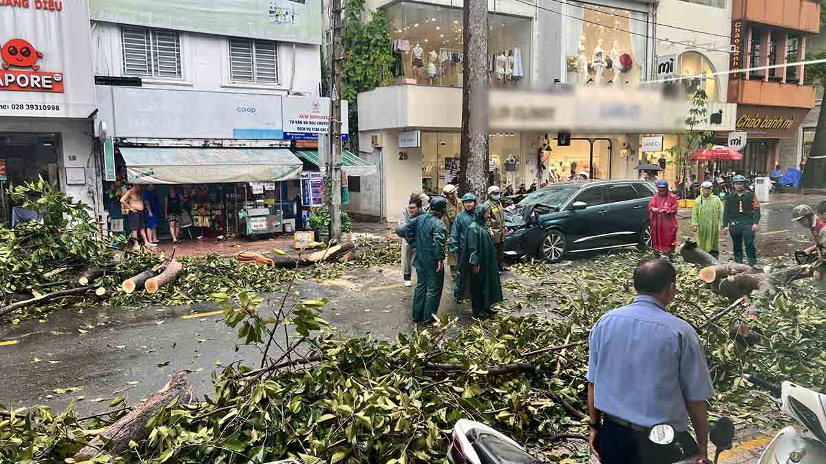 木が落ちて、正午20.7にトラン・クアン・ディア・ストリート（ニー・ロック・ウォード、ホーチ・ミン市）をブロックしました。写真：anh tu