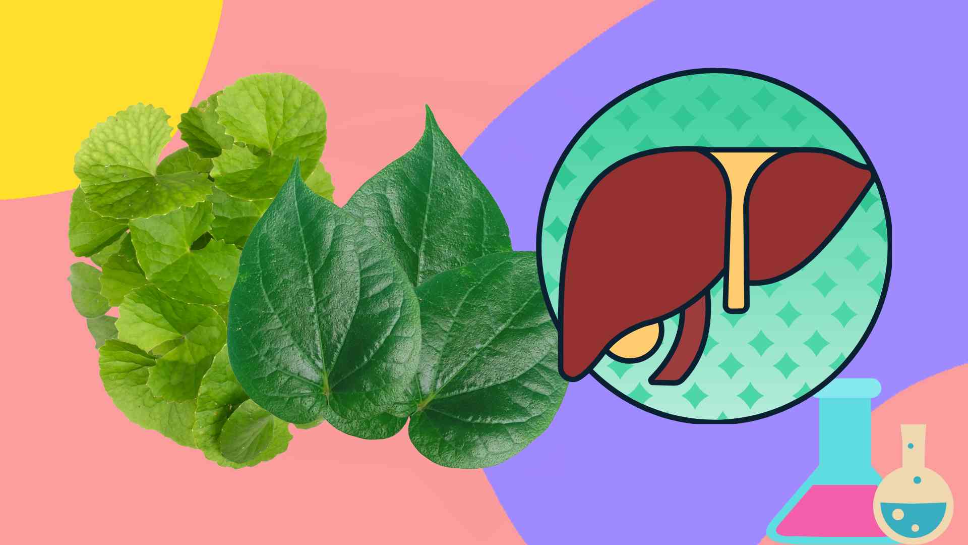 A pair of familiar herbs help the liver to detoxify quickly. Graphic photo: Thai Anh