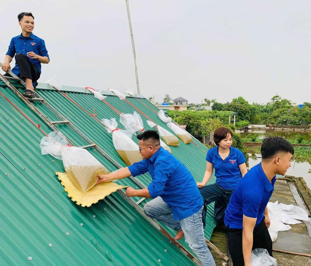 Doan Thanh nien xa Hung Phu, tinh Hung Yen giup nguoi dan gia co lai mai nha. Anh: Doan Thanh nien xa Hung Phu