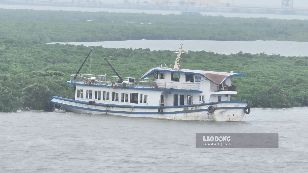 Tau Vinh Xanh 58 con thoi han dang kiem den thang 2.2026. Ảnh: Ngoc Duy