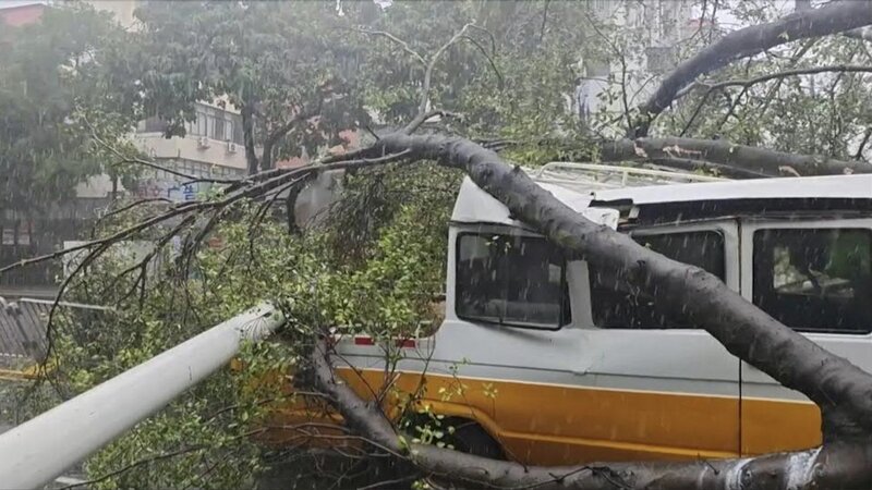 Vehicles in China were damaged by the impact of Typhoon Wipha. Photo: AFP