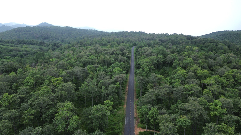 National Highway 14C runs through the border forests. Photo: Thanh Tuan