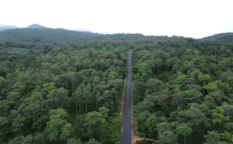 National Highway 14C runs through the border forests. Photo: Thanh Tuan