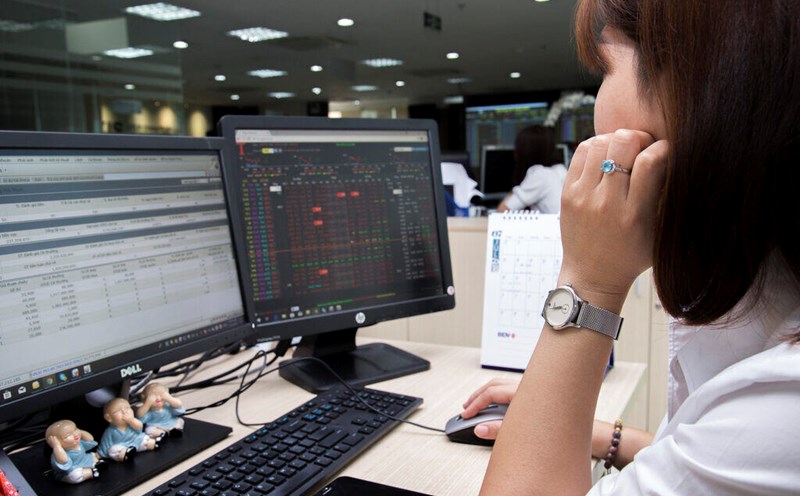 Investors are bitterly divided with LDG shares. Photo: Bao Chuong