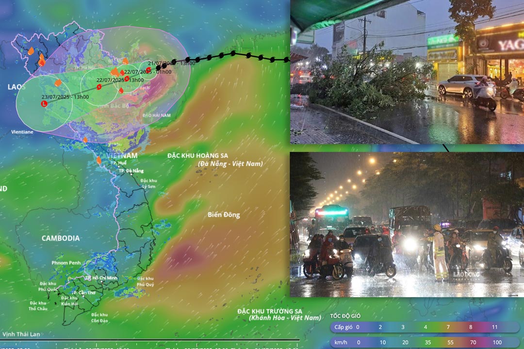 Storm No. 3 Wipha is about to strengthen to level 14, forecast path in the next 24 hours