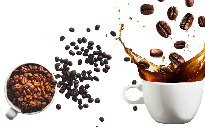 Roasted coffee is good for people with stomach pain. Graphics: Ha May