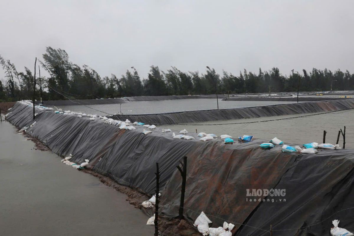 Khu vuc dam nuoi thuy san cua ngu dan