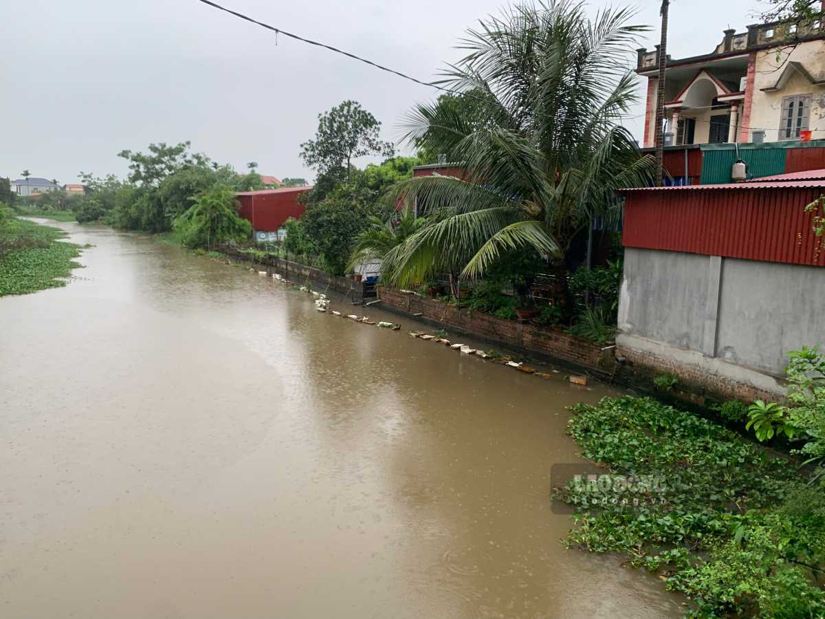 Ghi nhan cua PV Bao Lao Dong, khoang 17h30 chieu (21.7), tai xa Tien Hung (tinh Hung Yen) thoi tiet mua vua. Anh: Ha Vi