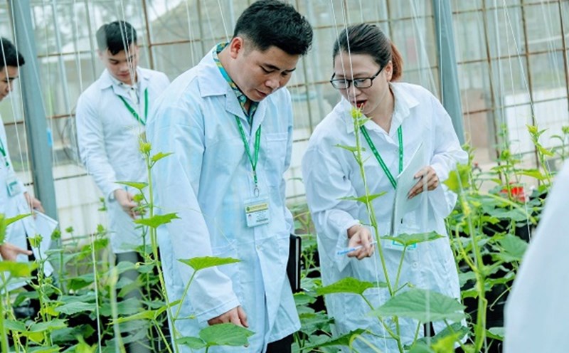The Vietnam Academy of Agriculture announced the admission floor score, the highest at 24. Photo: School