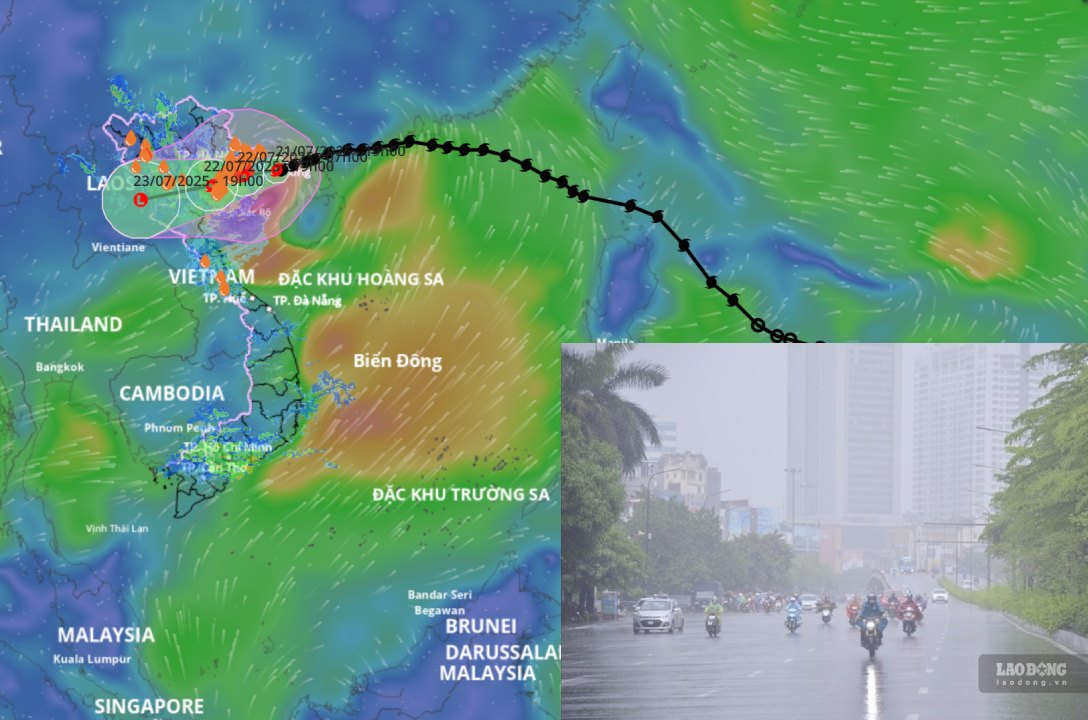 Storm No. 3 Wipha is forecast to make landfall in Hai Phong - Thanh Hoa from noon to tomorrow afternoon, July 21. Storm location source: Vietnam Disaster Monitoring System
