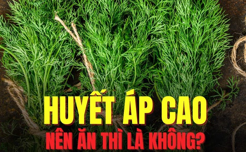 It is rich in antioxidants, beneficial for people with high blood pressure. Graphics: Tra My