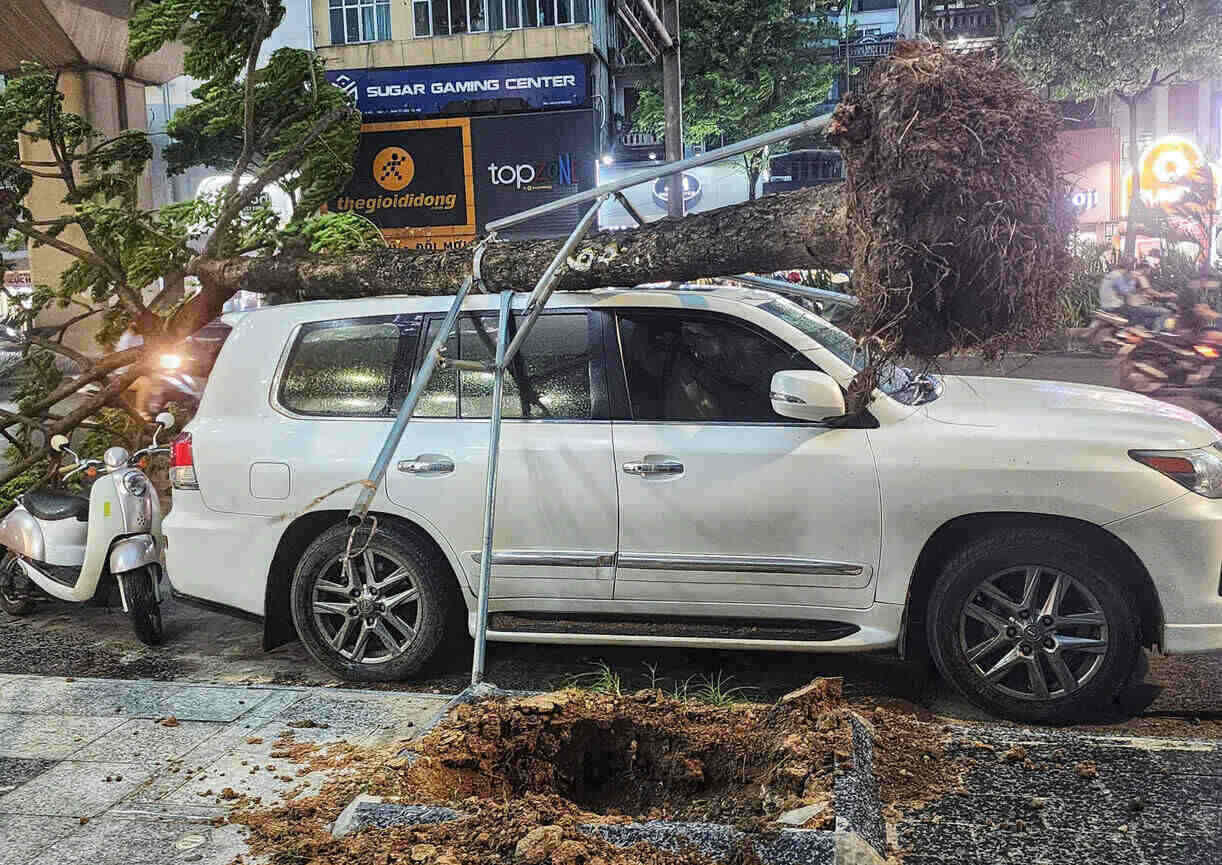 台風3号Wiphaは、明日7月22日正午からハノイで最大8級の強風を引き起こす可能性があります。写真:トー・テー