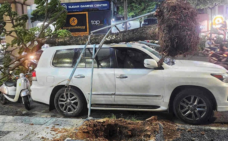 Storm No. 3 Wipha may cause strong gusts of wind up to level 8 in Hanoi from tomorrow afternoon, July 22. Photo: To The