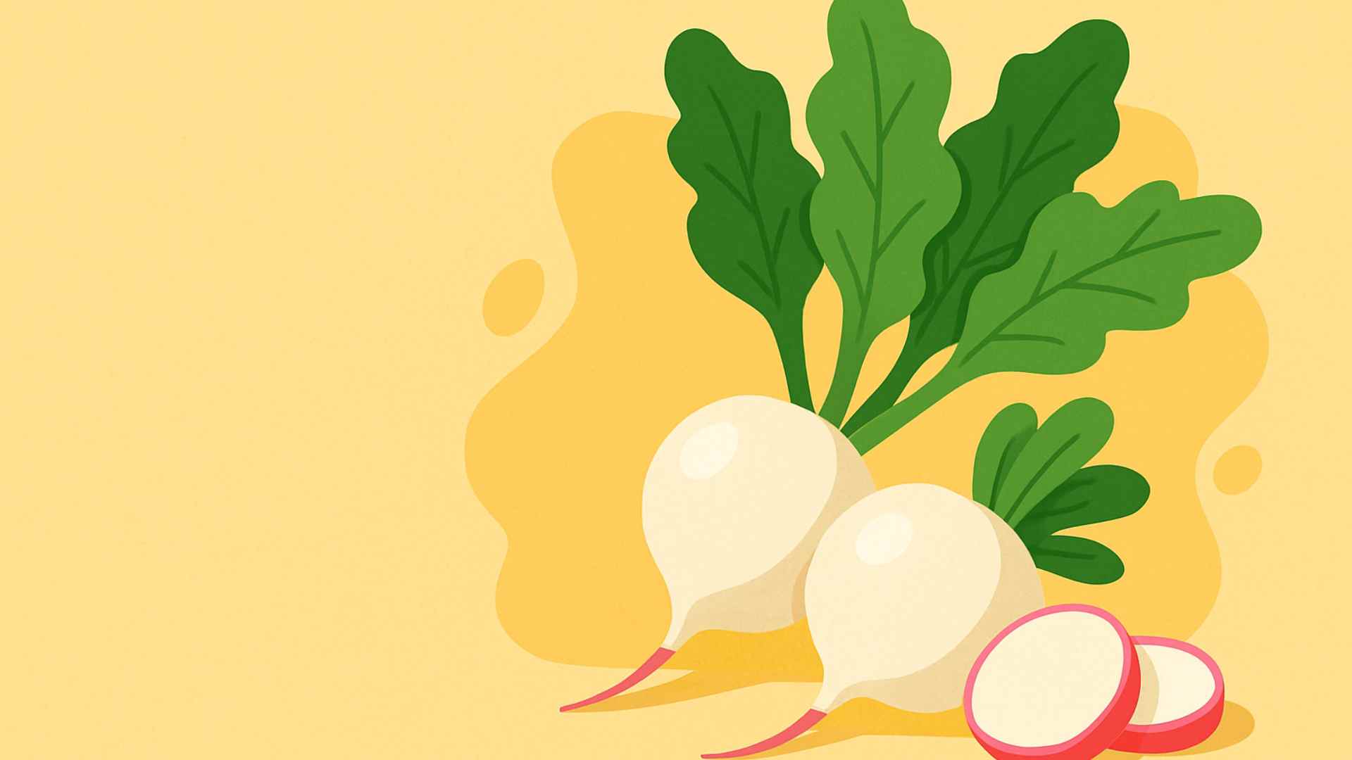 White radish contains many beneficial active ingredients that help control blood sugar. Graphic photo: Thai Anh