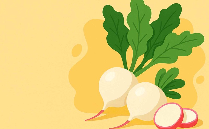 White radish contains many beneficial active ingredients that help control blood sugar. Graphic photo: Thai Anh