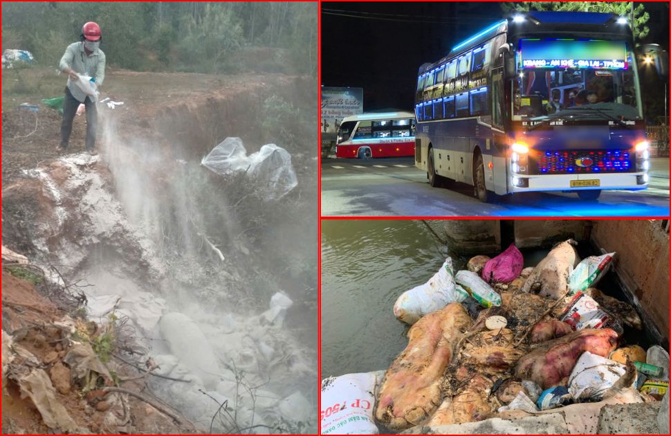 El votante Gia Lai refleja una serie de temas como epidemias generalizadas de ganado, politicas para apoyar a los funcionarios, la contaminacion ambiental ... grafico: Hoai Phuong