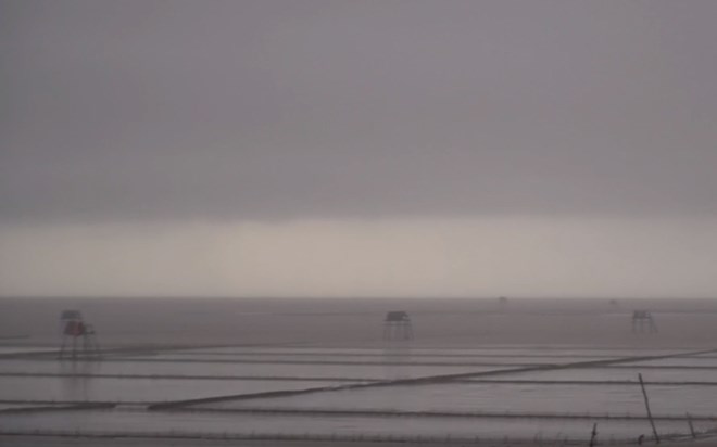 Hưng Yên gió to, mưa nhẹ trước thềm bão số 3 đổ bộ