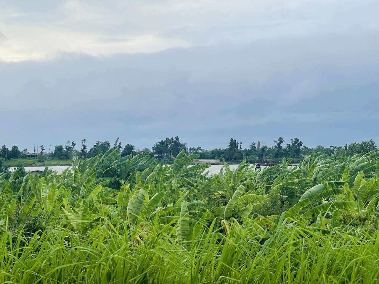 Hai Phongは乾燥していて、Wiphaの嵐の前の22.7で軽いそよ風がありました。写真：マイフオン