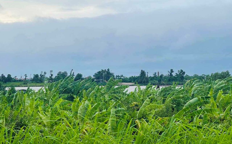 Hai Phong is dry, with light winds on the morning of July 22 before Typhoon Wipha enters. Photo: Mai Huong