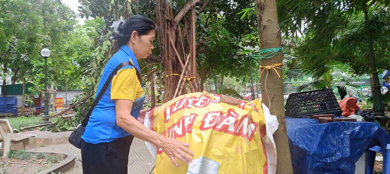Tai Khu Bac Linh Dam, ngay tu som, cac phuong tien xe xu ly cay do da co mat de chat cac cay cao de phong mua bao. Anh: Hai Danh