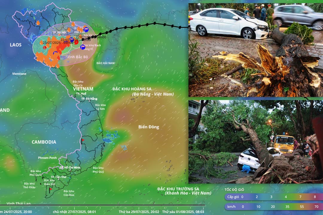 台風3号Wiphaがハイフォン、ニンビンに上陸する最新の予報