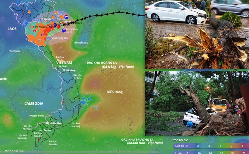Latest forecast of when typhoon No. 3 Wipha will make landfall in Hai Phong and Ninh Binh