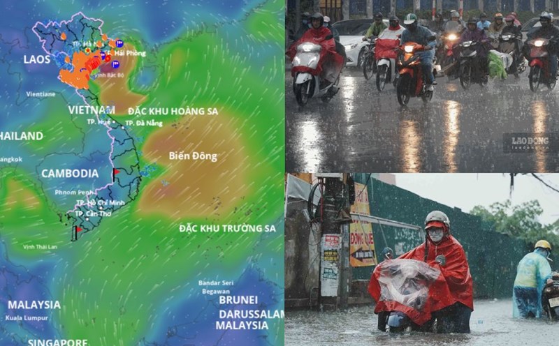 Forecast of increased rainfall due to storm No. 3 Wipha today, July 22. Storm location source: Vietnam Disaster Monitoring System